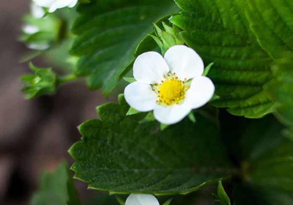 best2-1000x1000_c[1]