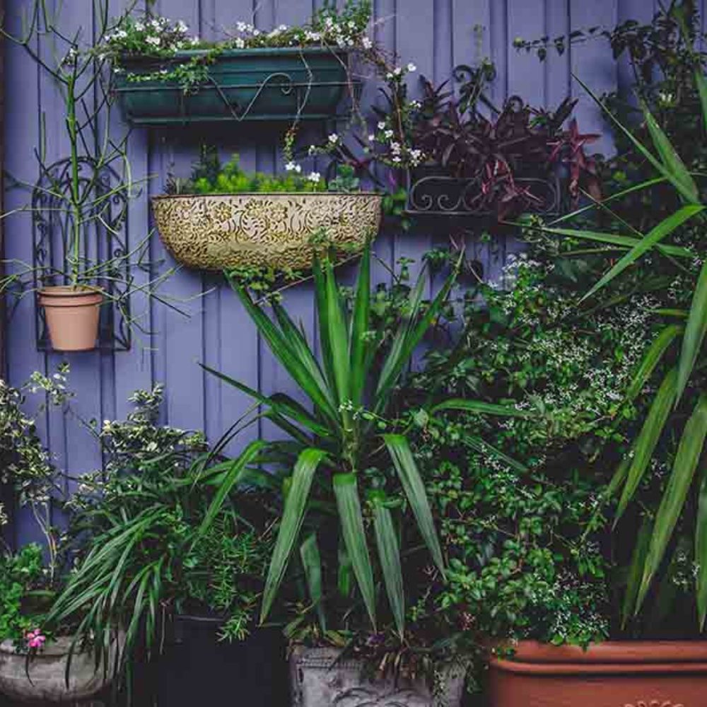 decoration2-1000x1000_c[1]