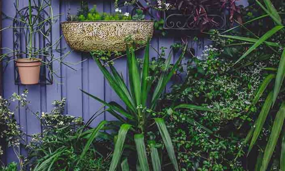 decoration2-1000x1000_c[1]