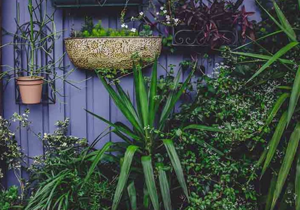 decoration2-1000x1000_c[1]