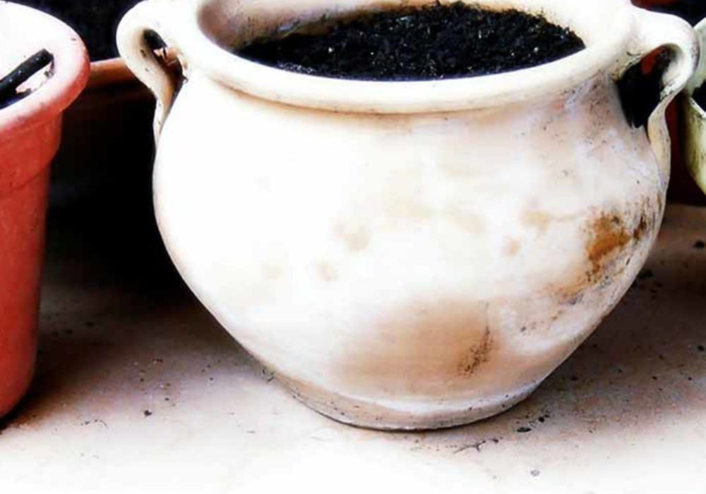 furtilizer1-1000x1000_c[1]